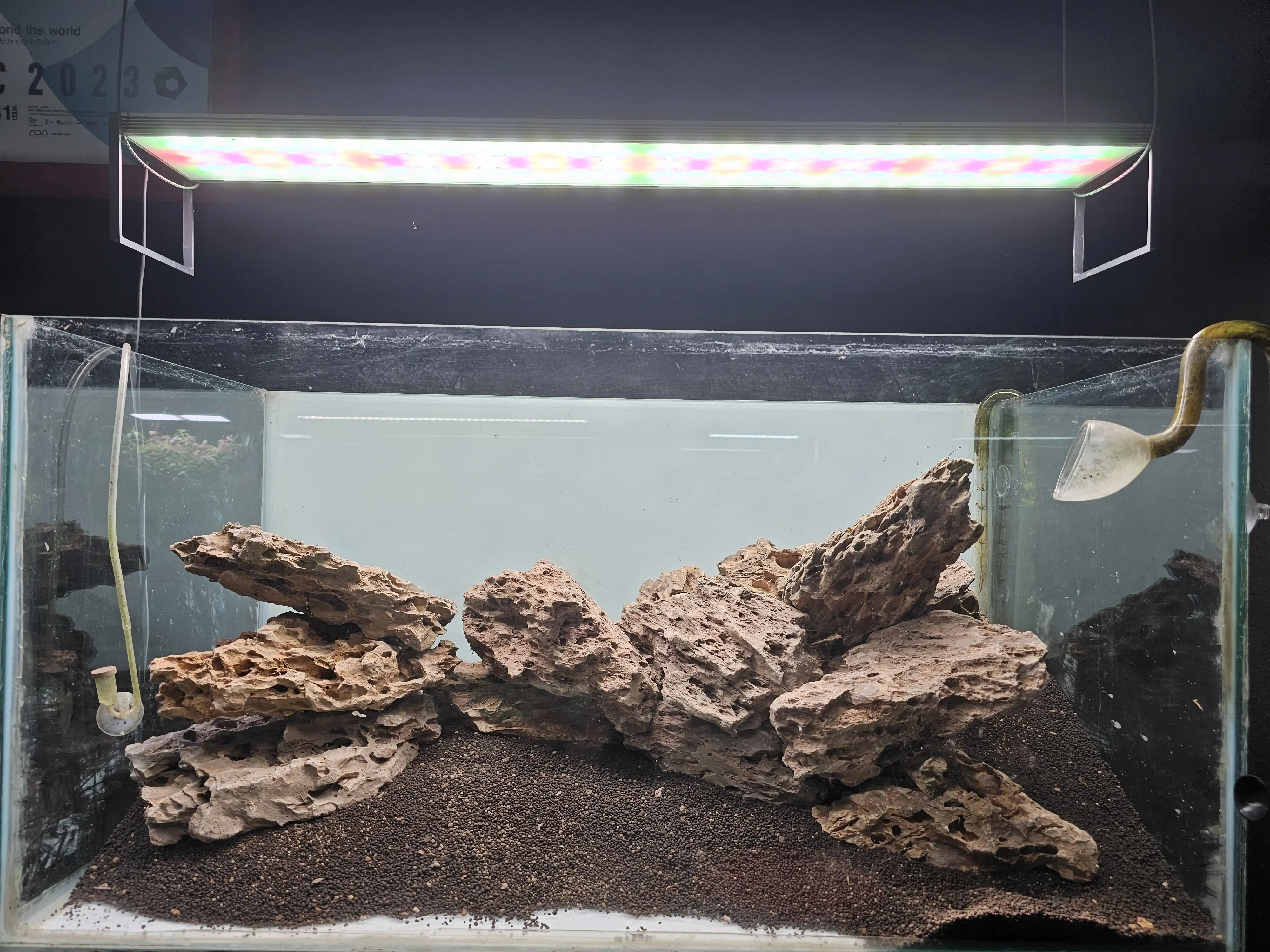 Aquascaping steps - Tigers in the Dragon - IAPLC 2025 Fine Works - Naadir Esmail / Mozambique